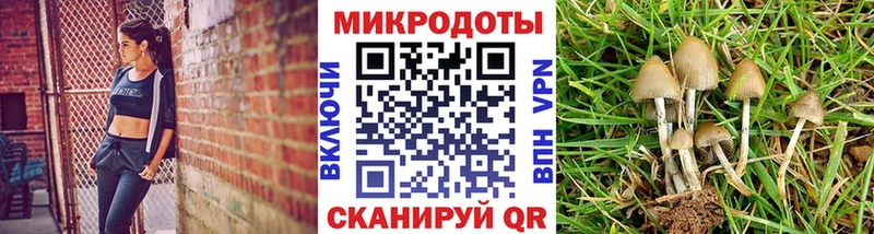 Псилоцибиновые грибы Psilocybe  Купить закладки  Лангепас 