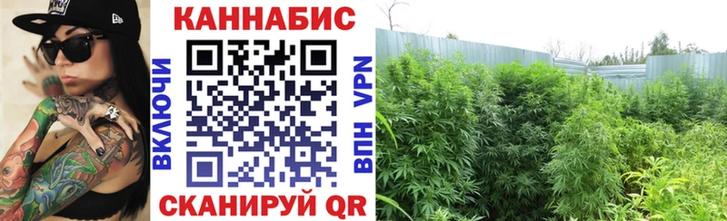 Купить закладки  Лангепас  МАРИХУАНА Amnesia 